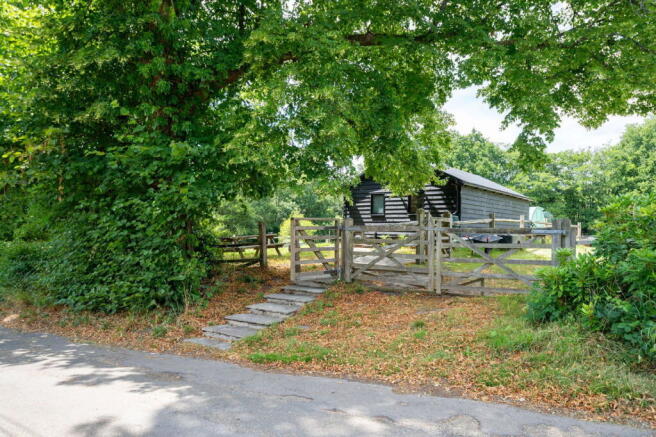 Photo 43