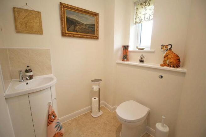 Picture 8