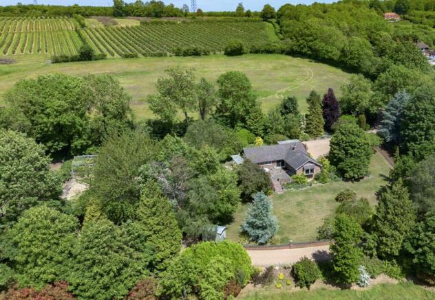 Aerial Shot
