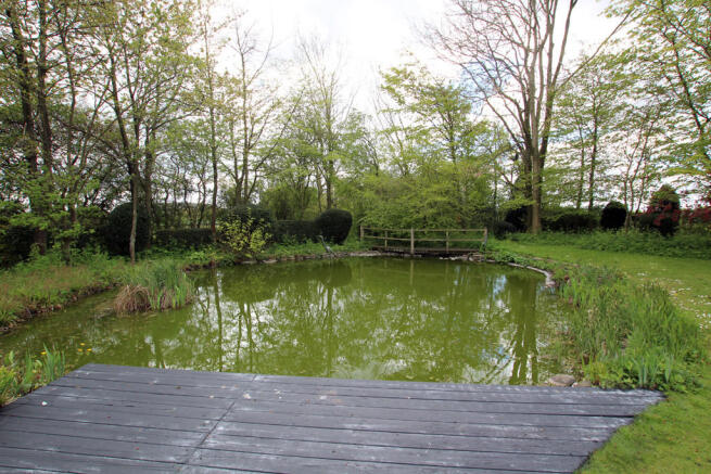 Photo 44