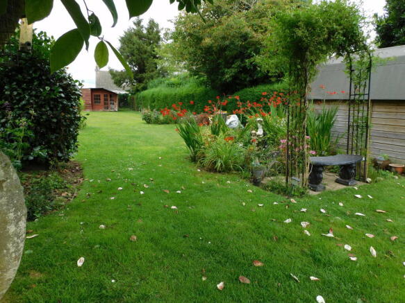 Photo 15