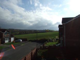 View From Window