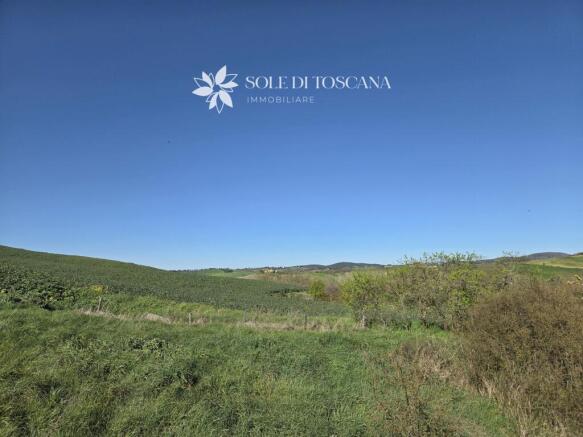 San_Giovanni_d_asso_farm_estate_for_sale (46)
