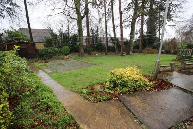 Garden from Patio Area