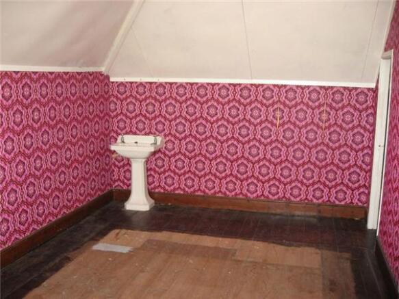 Photo7