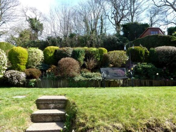 garden pic 4
