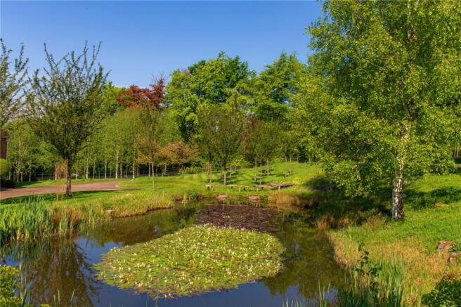 Pond
