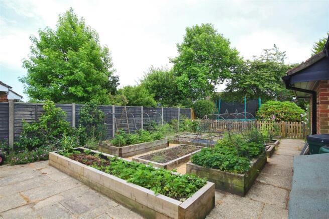 Garden .jpg