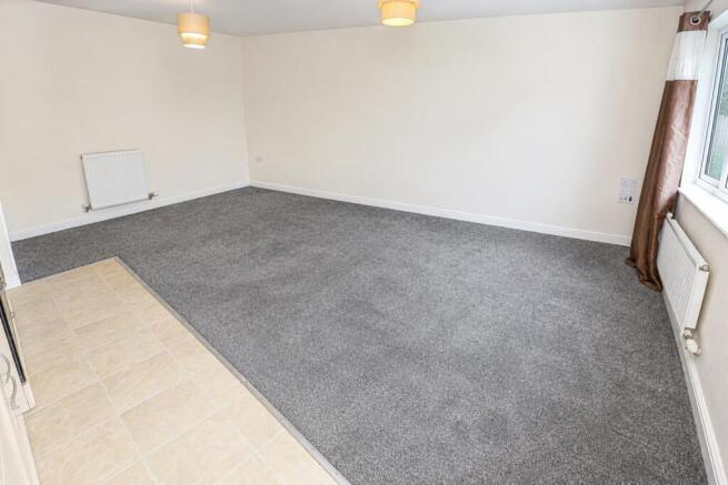 Kitchen / Living Area