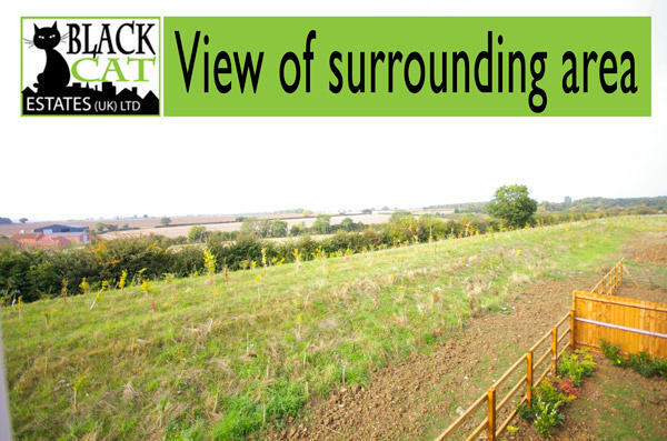 Surrounding area