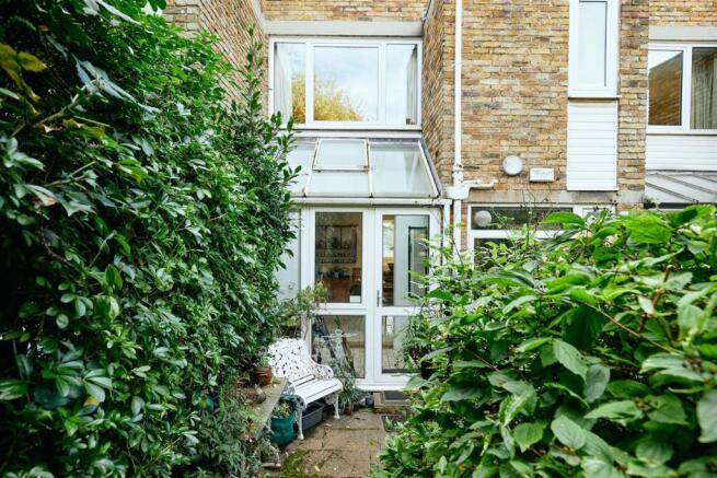 Back garden