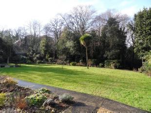 Communal garden