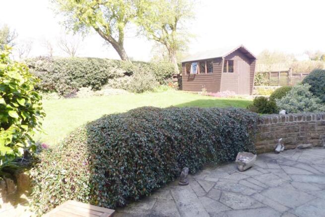 Picture 15