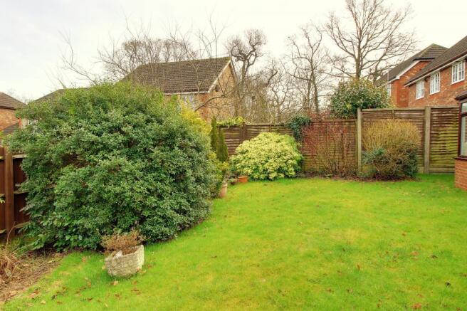 Garden at Back