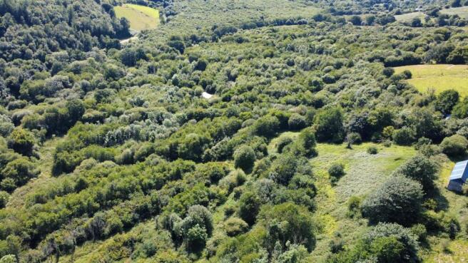 dji_fly_20250703_163714_253_1751899402978_photo_op