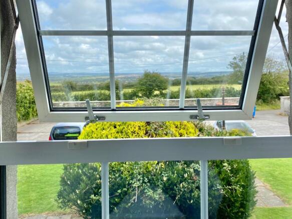 View from Window