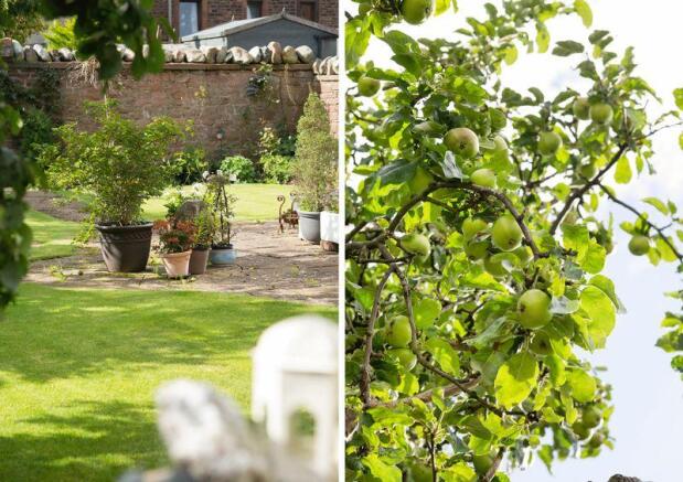 Garden detail,...