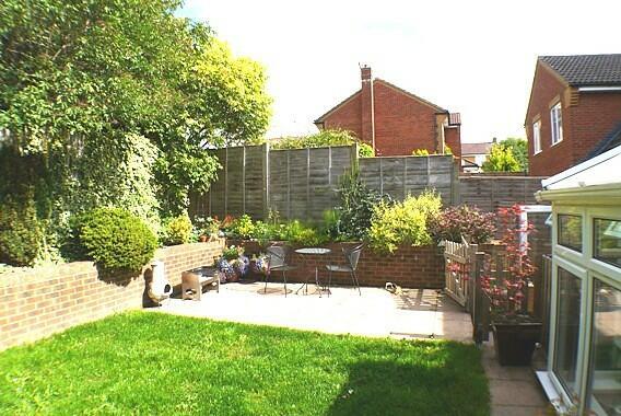 Patio Area
