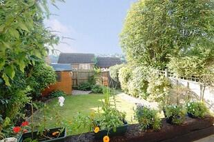 Garden Photo 1