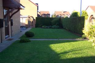 Side Garden