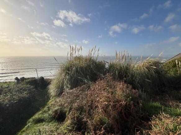 IMG 2486 New T202601121026.jpg