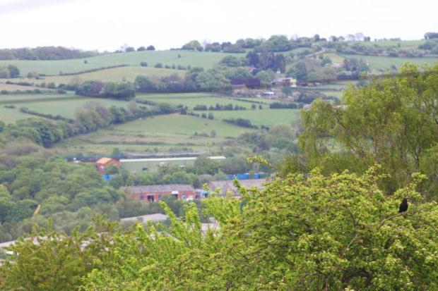 View
