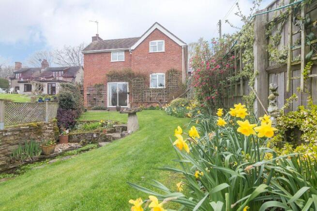 Garden Photo