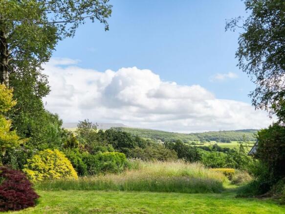 Views from the Garden