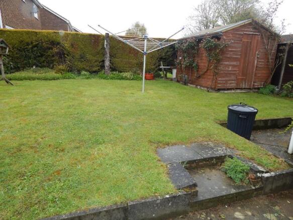 garden 1.JPG