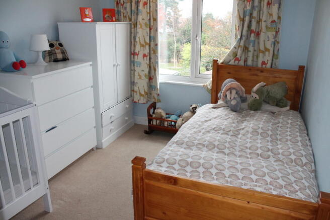 Photo 12