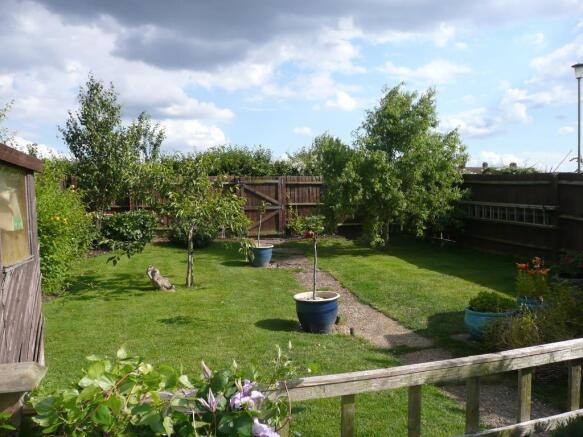 Image 11