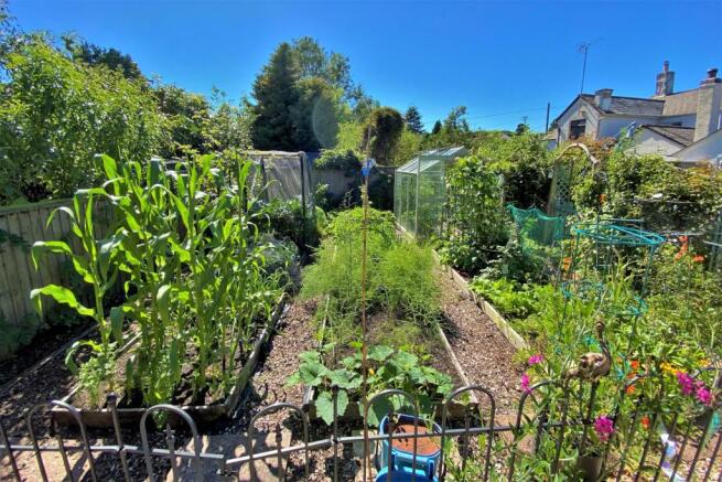 Vegetable Patch