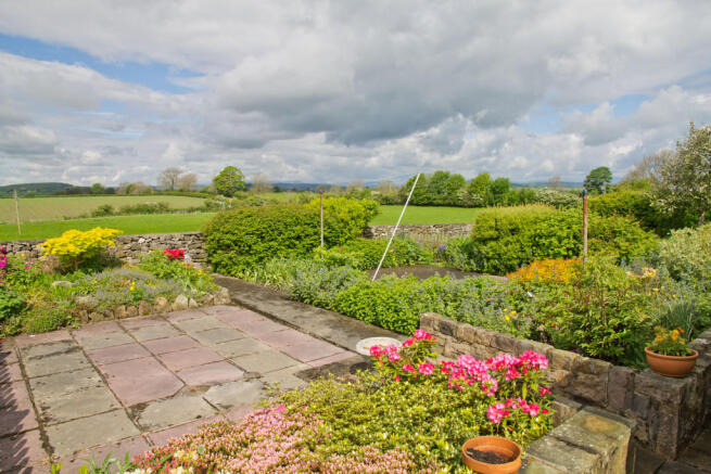 Patio Garden