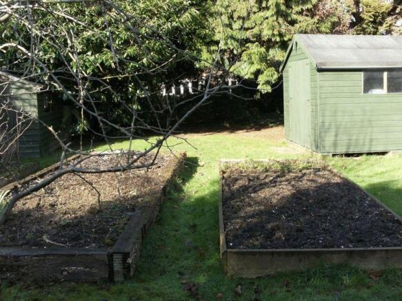 Vegetable Garden