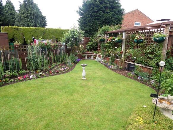 garden.JPG