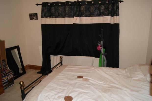Picture No.17
