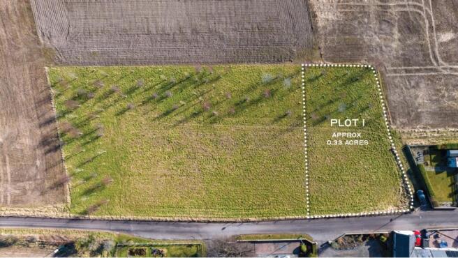 The Firs -Plot 1