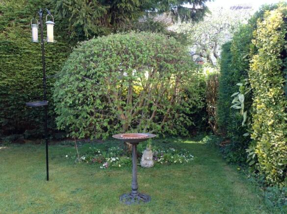 Photo 12