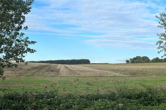 Nearby Field