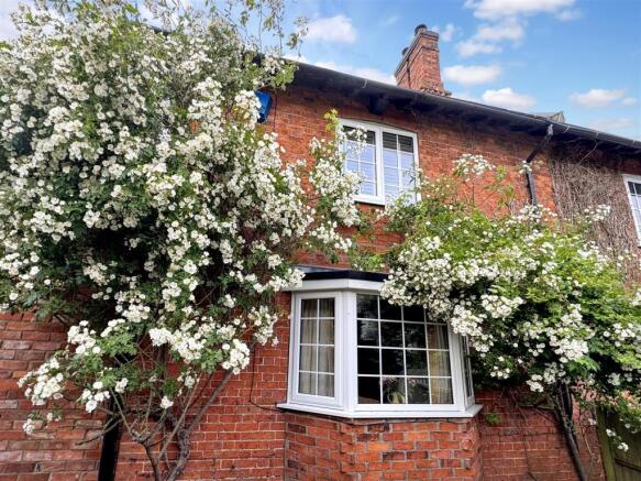 Front & Climbing Rose.jpg