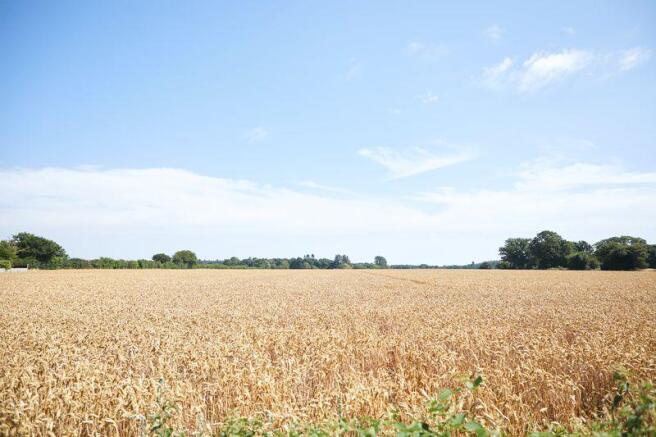 Field View 1.1
