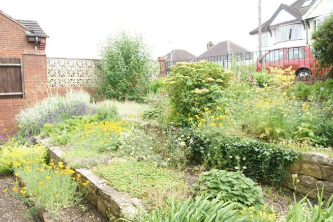 Garden 2