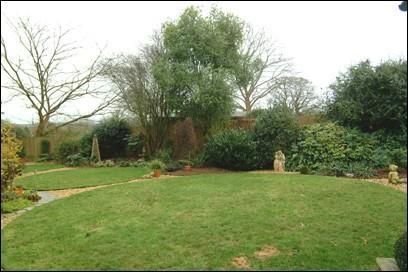 Another garden shot