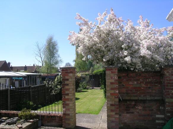 garden2