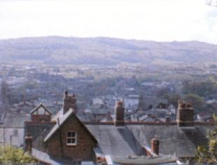 Outside View