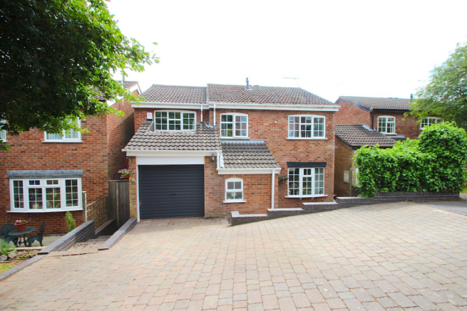 Plot View