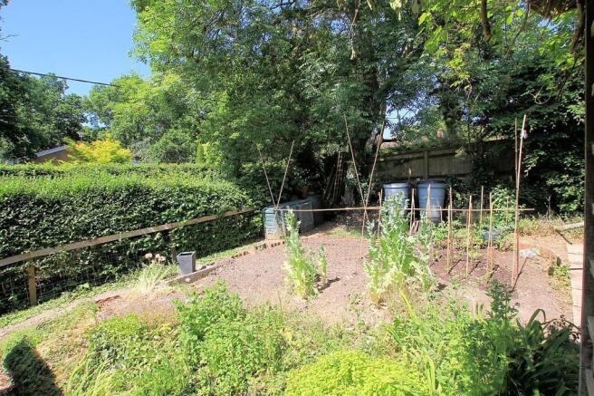 Vegetable garden