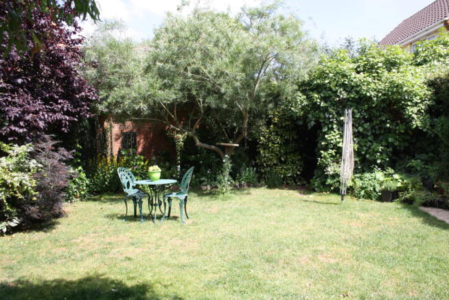 Photo 15