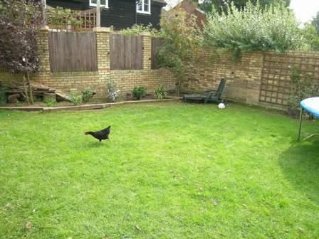 Photo 13