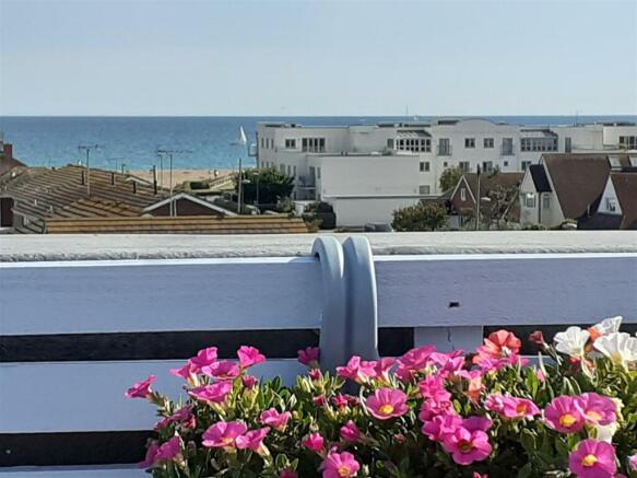 View From Rooftop Garden (taken summer 2022)